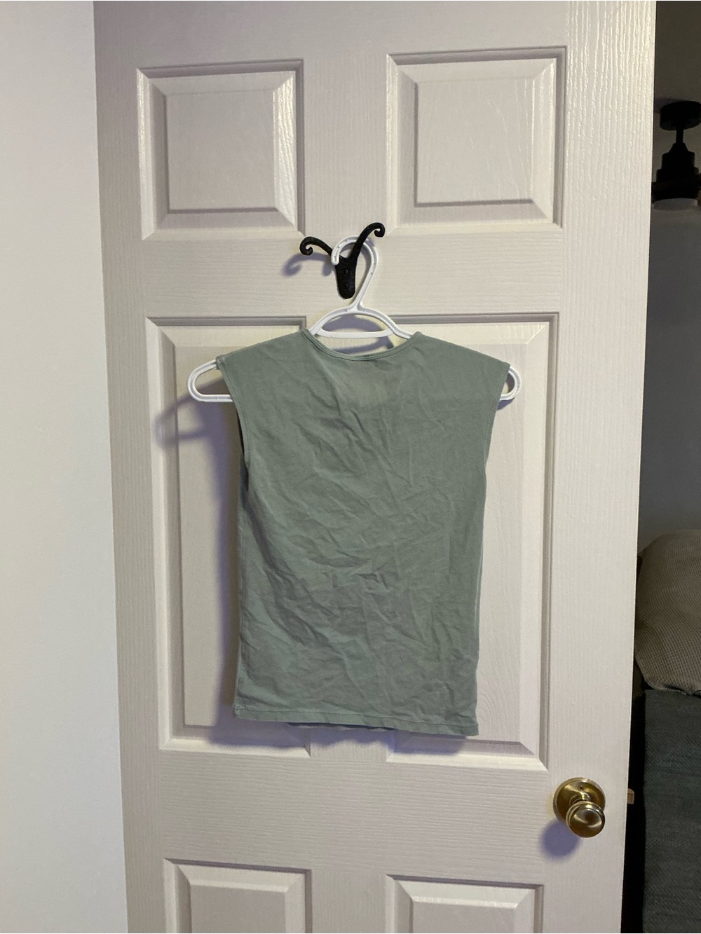 Aritzia so chill cardinal tshirt — Light Sage (gd terrace) - Picture 7 of 7